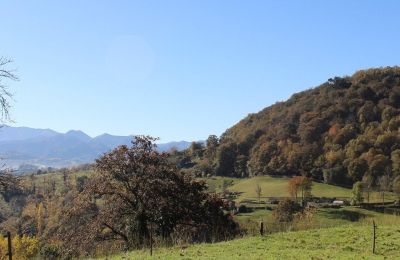 Dwór na sprzedaż Parres, Asturia, Widok