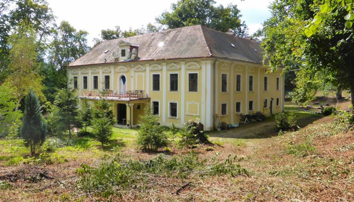 Pałac na sprzedaż Plzeňský kraj, okres Klatovy, Klatovy,  Czechy