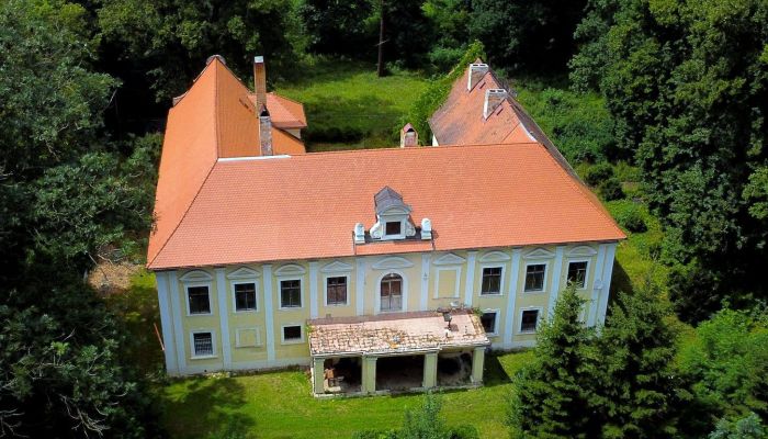 Pałac na sprzedaż Plzeňský kraj, okres Klatovy, Klatovy,  Czechy