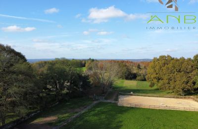 Dwór na sprzedaż Busserolles, Nouvelle-Aquitaine, Zdjęcie 15/27