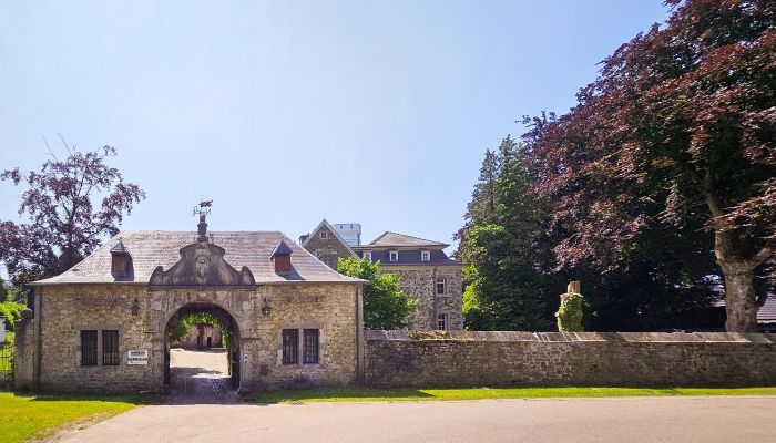 Pałac na sprzedaż Astenet, Wallonie,  Belgia