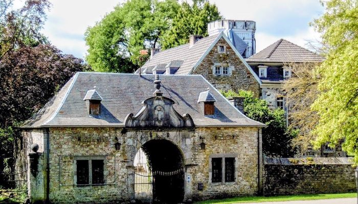 Pałac na sprzedaż Astenet, Wallonie,  Belgia