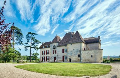 Pałac na sprzedaż Monségur, Nouvelle-Aquitaine, Widok zewnętrzny