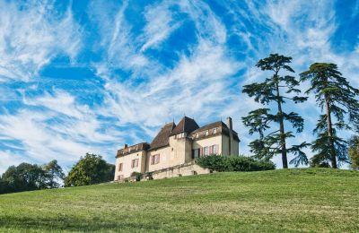 Pałac na sprzedaż Monségur, Nouvelle-Aquitaine, Zdjęcie 22/22