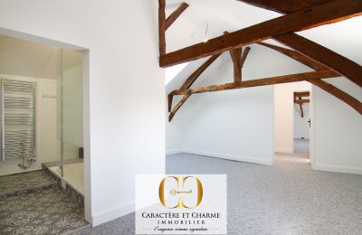 Zabytkowa nieruchomość na sprzedaż Sarlat-la-Canéda, Nouvelle-Aquitaine, Zdjęcie 14/20