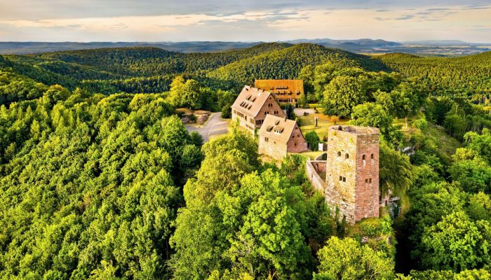 Zamek na sprzedaż 67330 Dossenheim-sur-Zinsel, Grand-Est,  Francja
