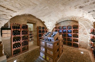 Dwór na sprzedaż Uzès, Oksytania, Piwnica na wino