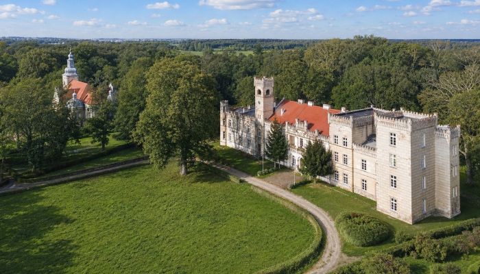 Pałac na sprzedaż Gościeszyn, Wielkopolskie