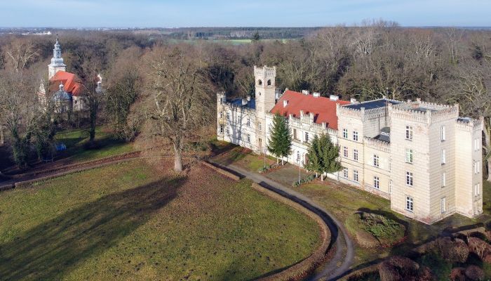 Pałac na sprzedaż Gościeszyn, Wielkopolskie,  Polska