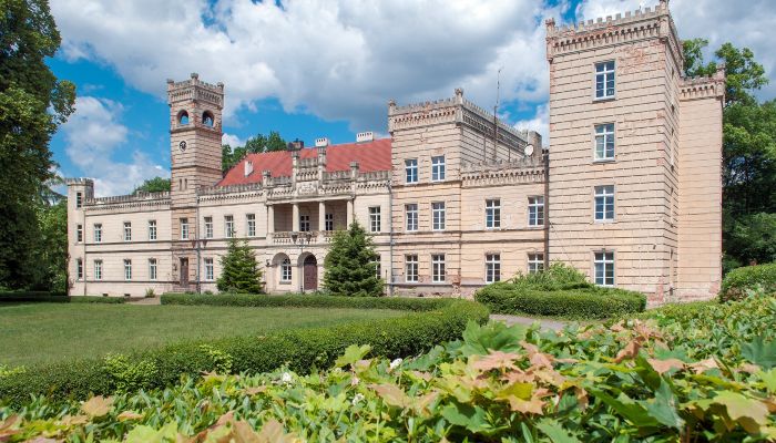 Pałac Gościeszyn, Wielkopolskie