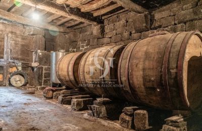 Dwór na sprzedaż Ourense, Galicja, Piwnica na wino