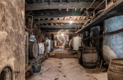 Dwór na sprzedaż Ourense, Galicja, Piwnica na wino