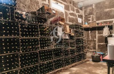 Dwór na sprzedaż Ourense, Galicja, Piwnica na wino