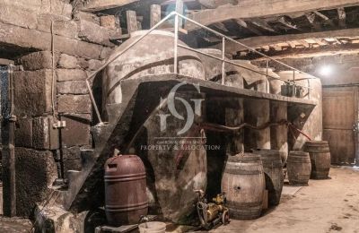 Dwór na sprzedaż Ourense, Galicja, Piwnica na wino