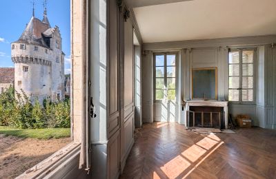 Pałac na sprzedaż Chartres, Centre-Val de Loire, Zdjęcie 7/10