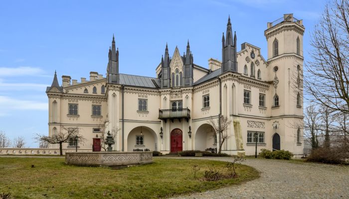 Pałac na sprzedaż Patrykozy, Mazowieckie,  Polska