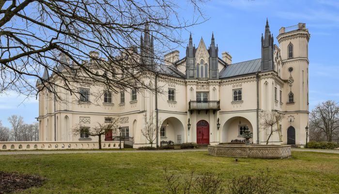 Pałac na sprzedaż Patrykozy-Kolonia, Mazowieckie