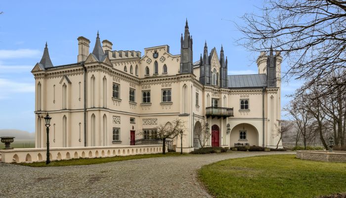 Pałac na sprzedaż Patrykozy-Kolonia, Mazowieckie