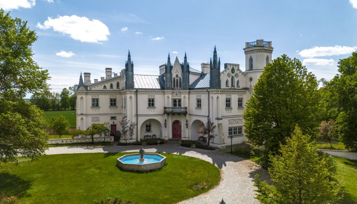 Pałac na sprzedaż Patrykozy, Mazowieckie,  Polska