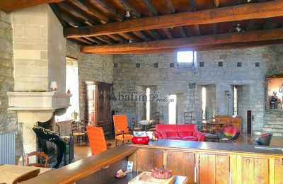 Zabytkowa willa na sprzedaż Sauveterre-de-Béarn, Nouvelle-Aquitaine, Zdjęcie 5/20