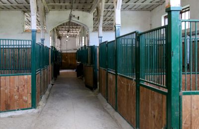 Zabytkowa nieruchomość na sprzedaż Žagariškiai, Okręg szawelski, Boksy dla koni