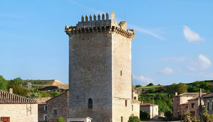 Zabytkowa nieruchomość na sprzedaż Villadiego, Kastylia i León,  Hiszpania