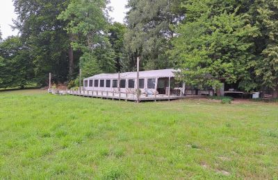 Dwór na sprzedaż Dawidy, Dwór w Dawidach, Warmińsko-mazurskie, Park