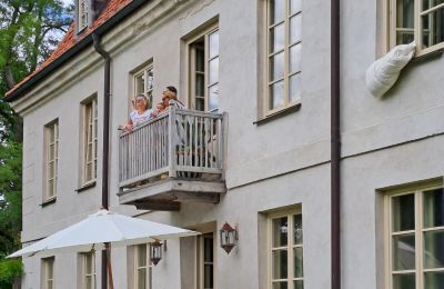 Dwór na sprzedaż Dawidy, Dwór w Dawidach, Warmińsko-mazurskie, Zdjęcie 15/19