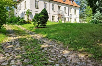 Dwór na sprzedaż Dawidy, Dwór w Dawidach, Warmińsko-mazurskie, Widok z tyłu