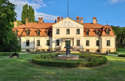 Dwór na sprzedaż Dawidy, Dwór w Dawidach, Warmińsko-mazurskie, Neighborhood: Kadyny