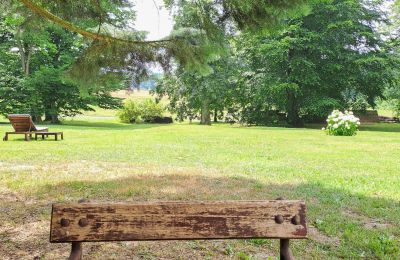 Dwór na sprzedaż Dawidy, Dwór w Dawidach, Warmińsko-mazurskie, Park