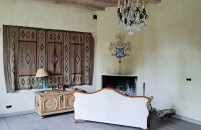 Dwór na sprzedaż Dawidy, Dwór w Dawidach, Warmińsko-mazurskie, Duża sala