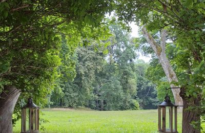Dwór na sprzedaż Dawidy, Dwór w Dawidach, Warmińsko-mazurskie, Park