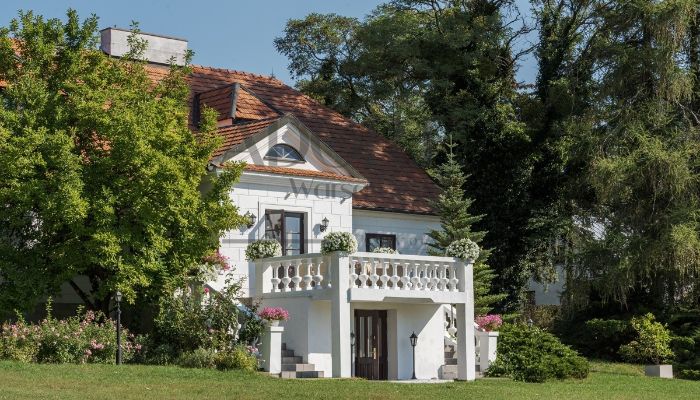 Dwór na sprzedaż Trębki Nowe, Mazowieckie,  Polska