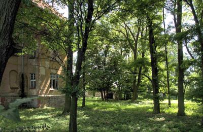 Dwór na sprzedaż Udanin, Główna, Dolnośląskie, Park