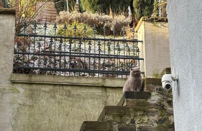 Zabytkowa willa na sprzedaż 58762 Altena, Bachstraße 66, Nadrenia Północna-Westfalia, außentreppe zum Garten