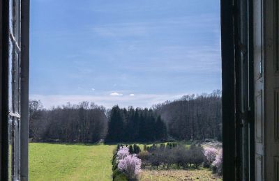 Pałac na sprzedaż Loches, Centre-Val de Loire, Widok