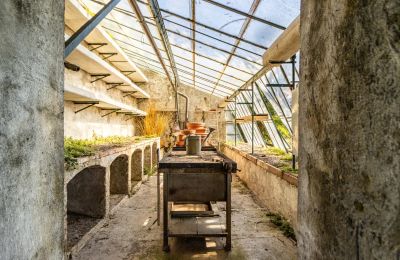 Zabytkowa willa na sprzedaż Longone al Segrino, Lombardia, Oranżeria