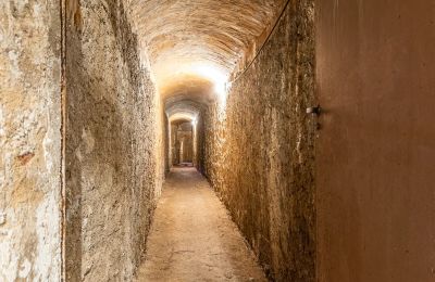 Zabytkowa willa na sprzedaż Longone al Segrino, Lombardia, Zdjęcie 35/37