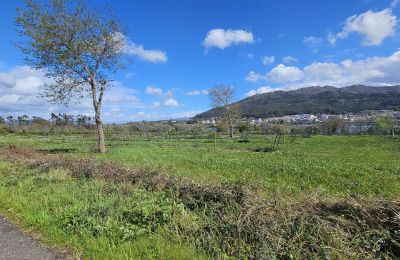 Dwór na sprzedaż 36740 Tomiño, Galicja, Zdjęcie 16/28
