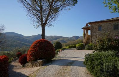 Wiejski dom na sprzedaż 06019 Umbertide, Umbria, Zdjęcie 7/50