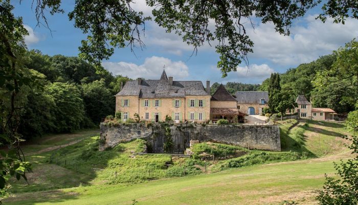 Pałac na sprzedaż Nouvelle-Aquitaine,  Francja