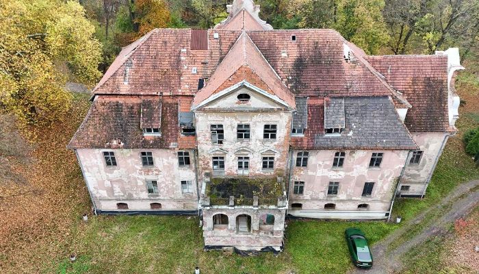 Pałac na sprzedaż Rychnów, Opolskie,  Polska