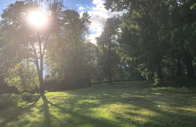 Pałac na sprzedaż Rychnów, Opolskie, Zdjęcie 5/11