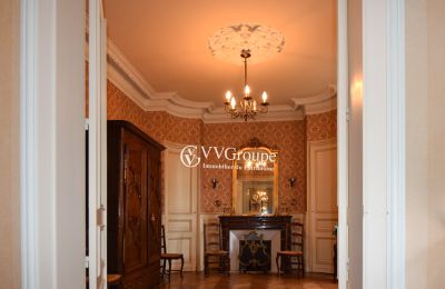 Zabytkowa willa na sprzedaż Angoulême, Nouvelle-Aquitaine, Salon