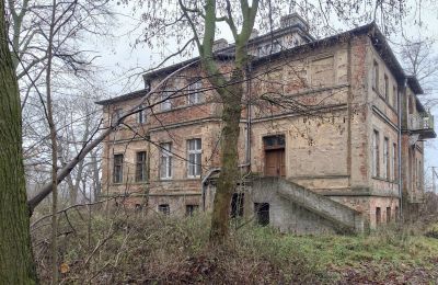 Dwór na sprzedaż Parsko, Pałac w Parsku, Wielkopolskie, Zdjęcie 14/16