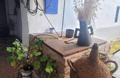Pałac miejski na sprzedaż Almagro, Kastylia-La Mancha, Detale architektoniczne