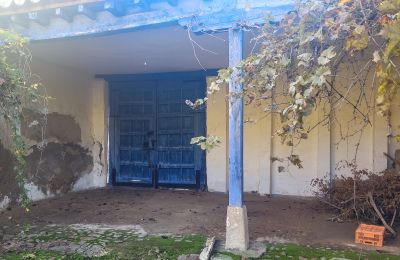 Pałac miejski na sprzedaż Almagro, Kastylia-La Mancha, Ogród