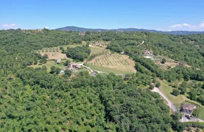 Wiejski dom na sprzedaż 06060 Lisciano Niccone, Umbria, Zdjęcie 21/48