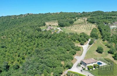 Wiejski dom na sprzedaż 06060 Lisciano Niccone, Umbria, Zdjęcie 20/48